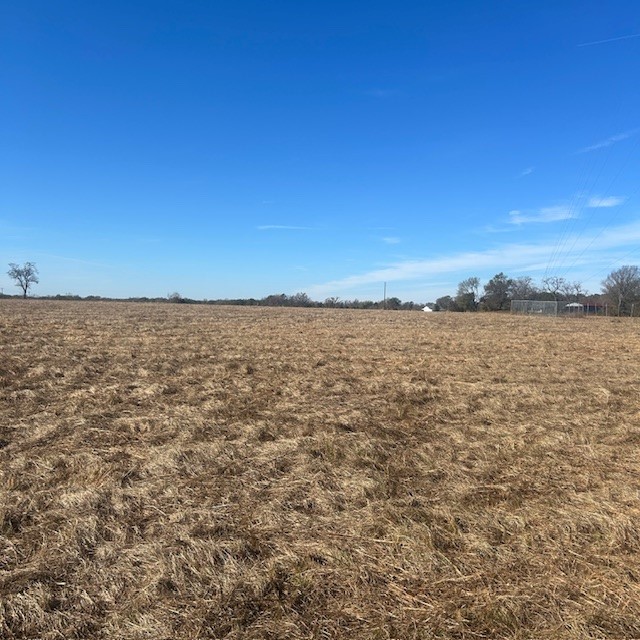 000 Vz County Road 4406 Ben Wheeler TX 75754