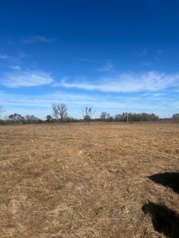 000 Vz County Road 4406 Ben Wheeler TX 75754