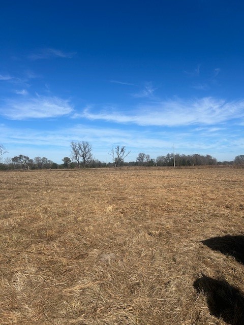 000 Vz County Road 4406 Ben Wheeler TX 75754