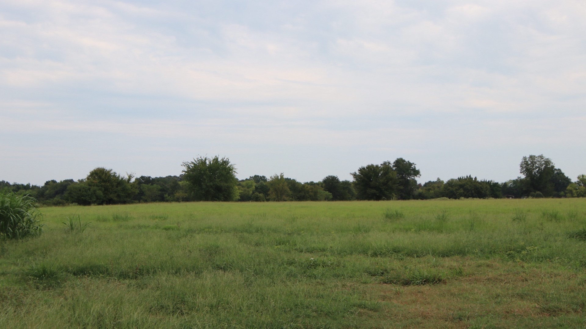 Tbd Rs County Road 3425 Emory TX 75440