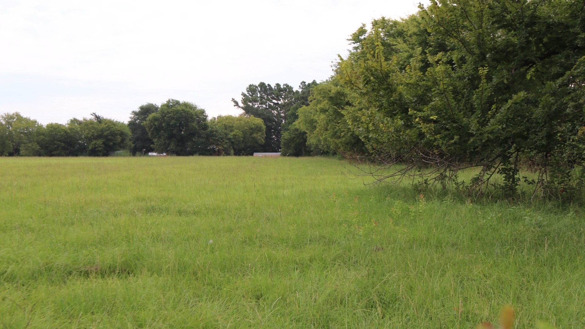 Tbd Rs County Road 3425 Emory TX 75440