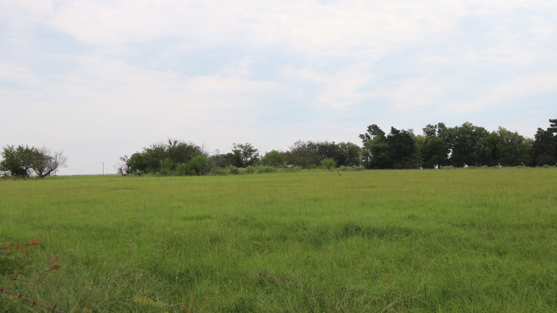 Tbd Rs County Road 3425 Emory TX 75440