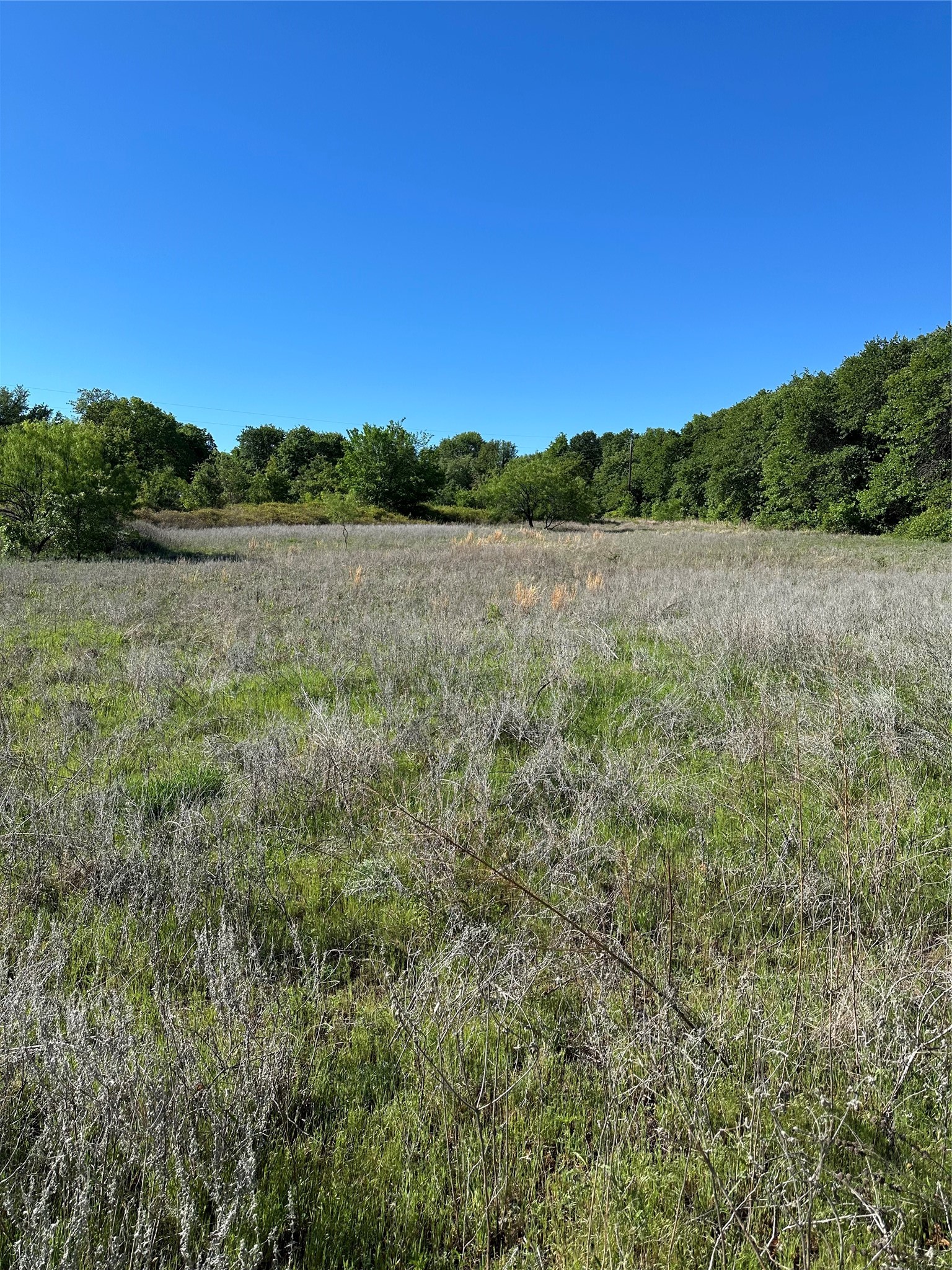 Tbd Highway 2247 Comanche TX 76442