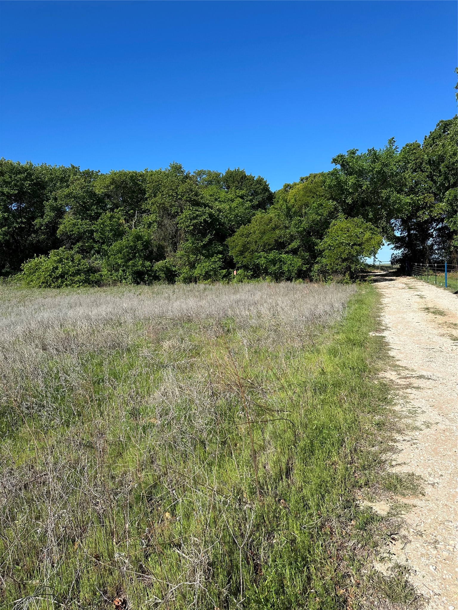 Tbd Highway 2247 Comanche TX 76442