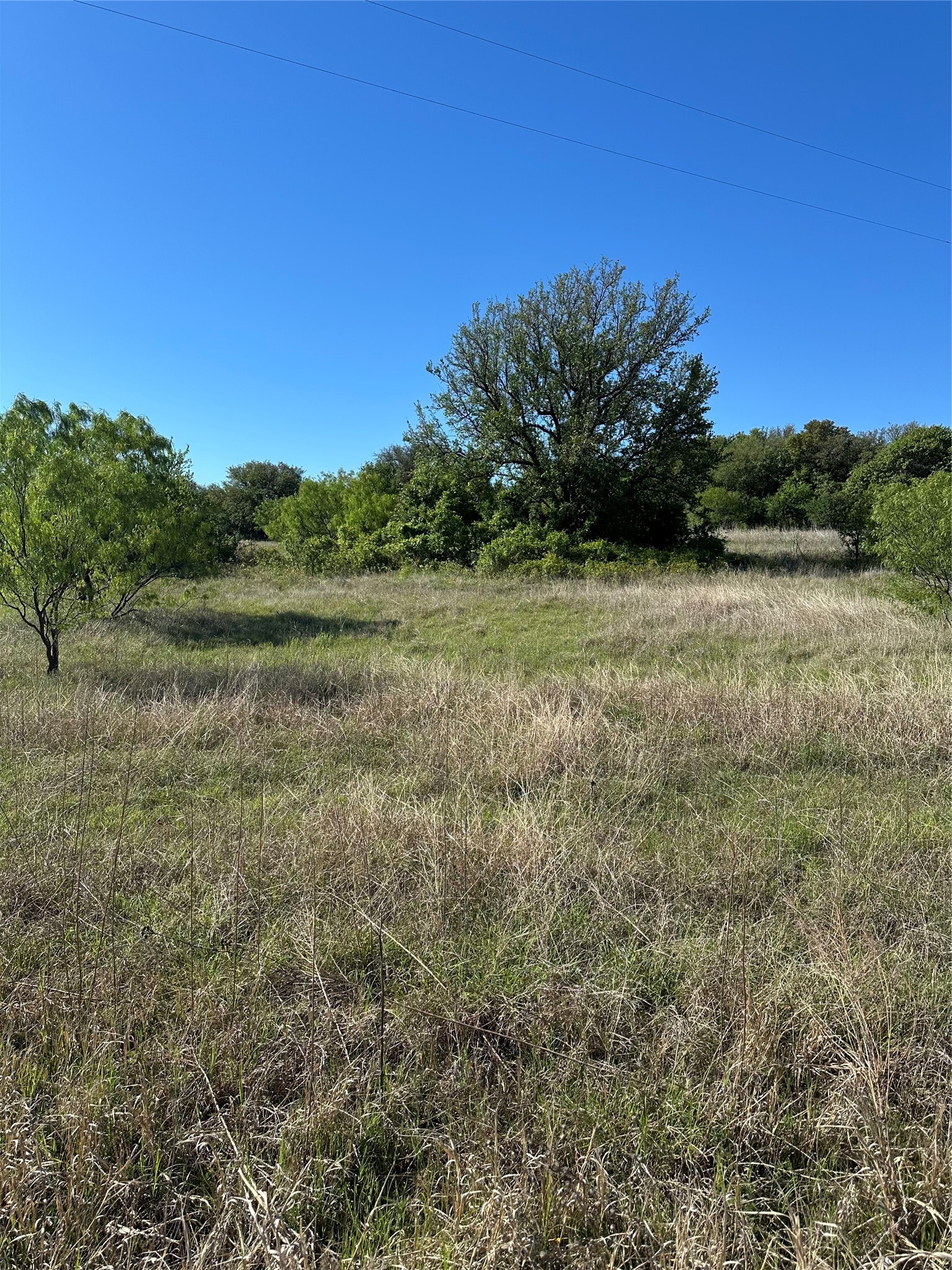 Tbd Highway 2247 Comanche TX 76442