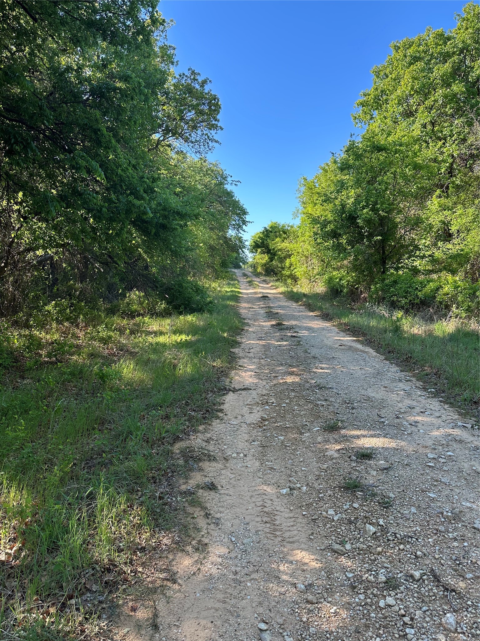 Tbd Highway 2247 Comanche TX 76442
