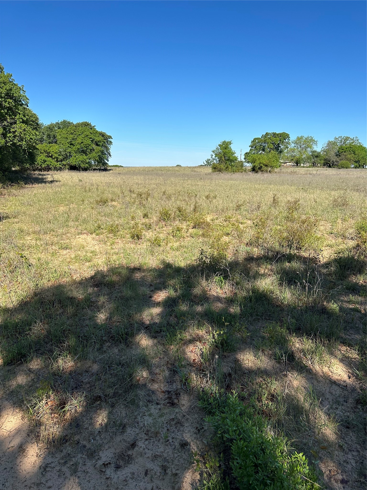 Tbd Highway 2247 Comanche TX 76442