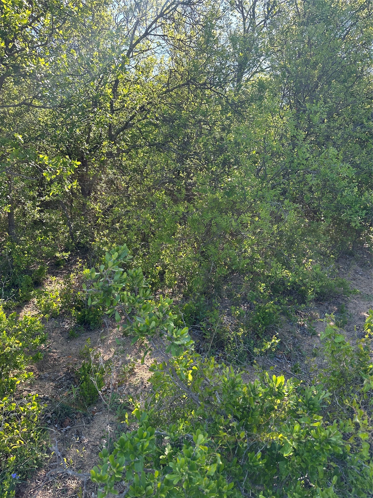Tbd Highway 2247 Comanche TX 76442