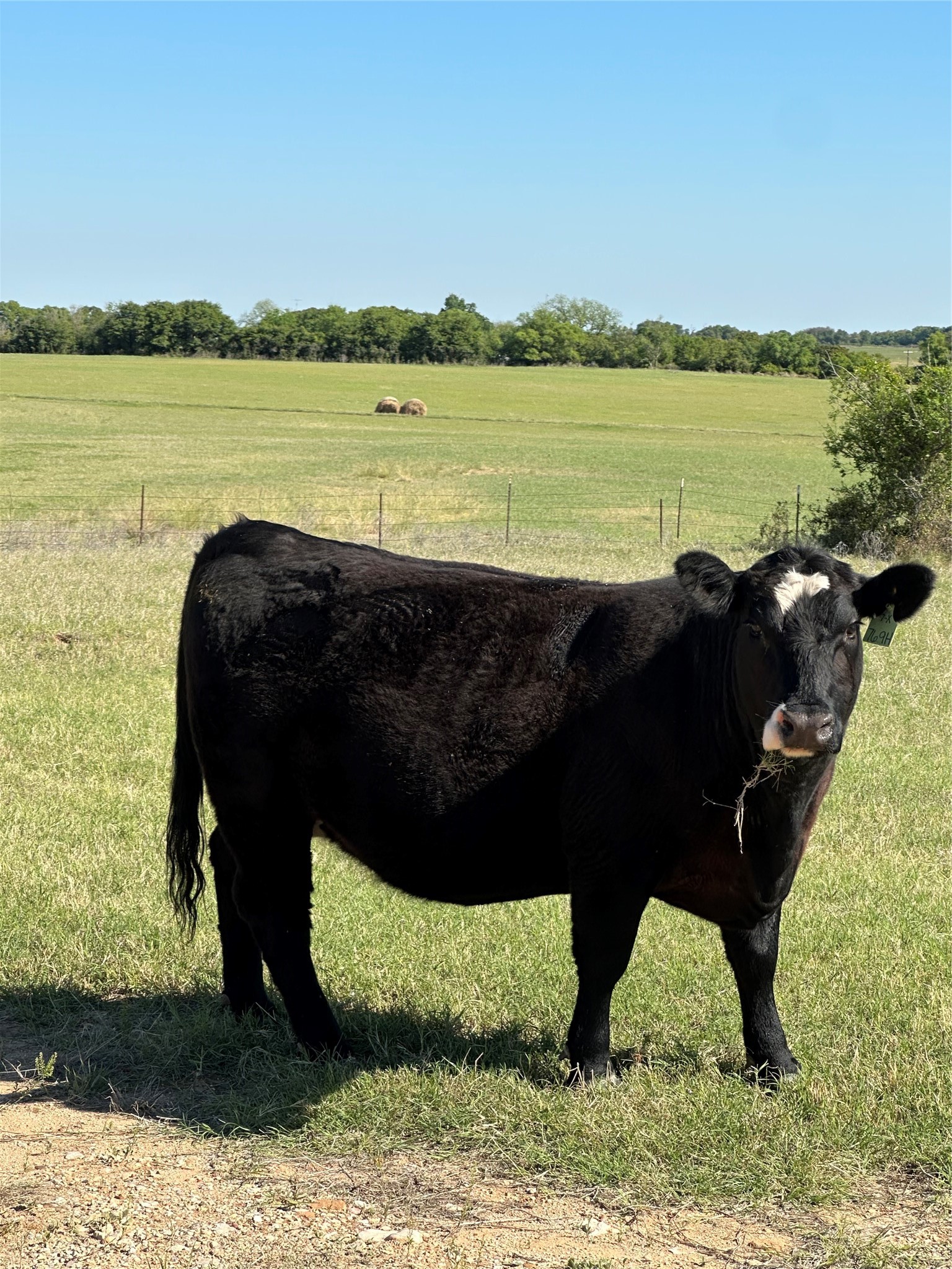 Tbd Highway 2247 Comanche TX 76442