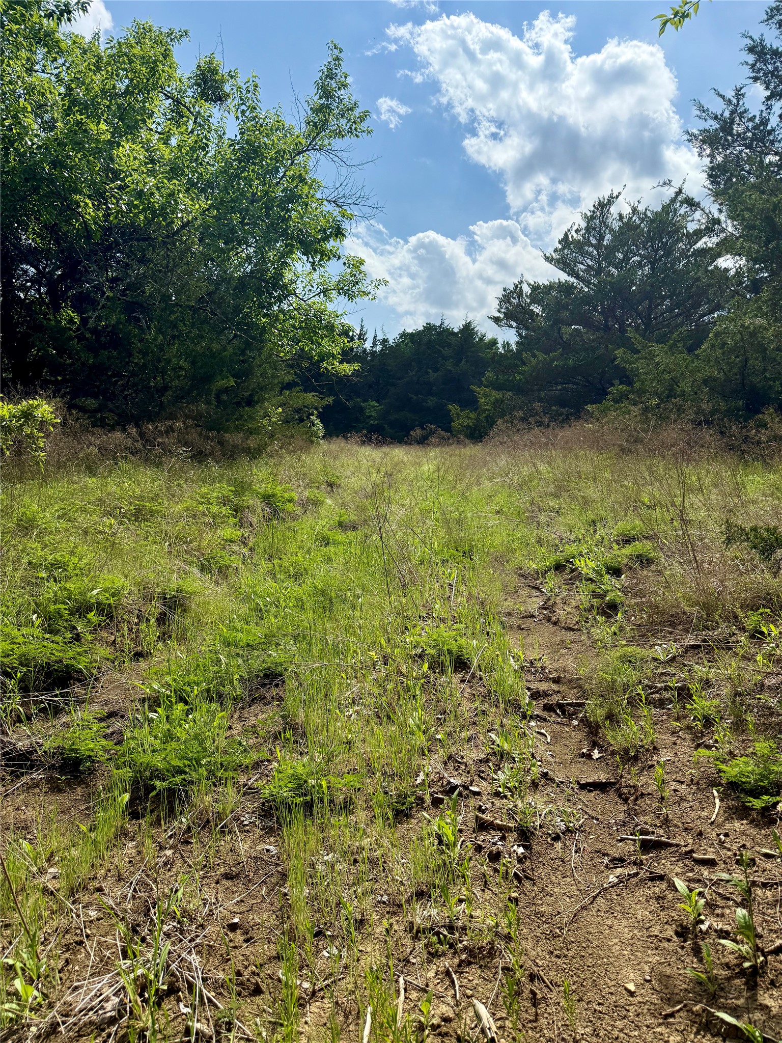 0000 Fm 1752 Savoy TX 75479