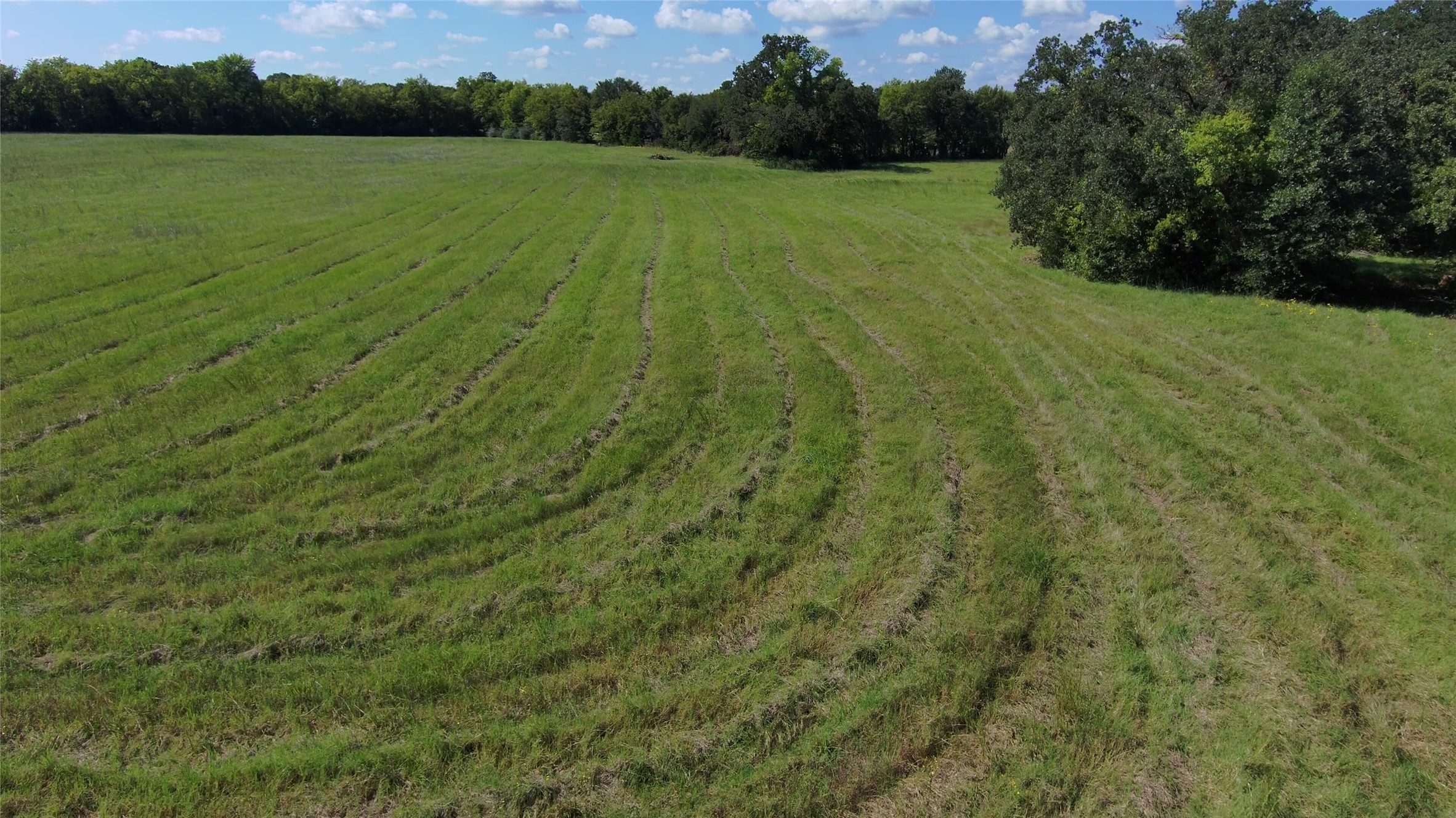 Tbd Vz County Road 2102 Canton TX 75103