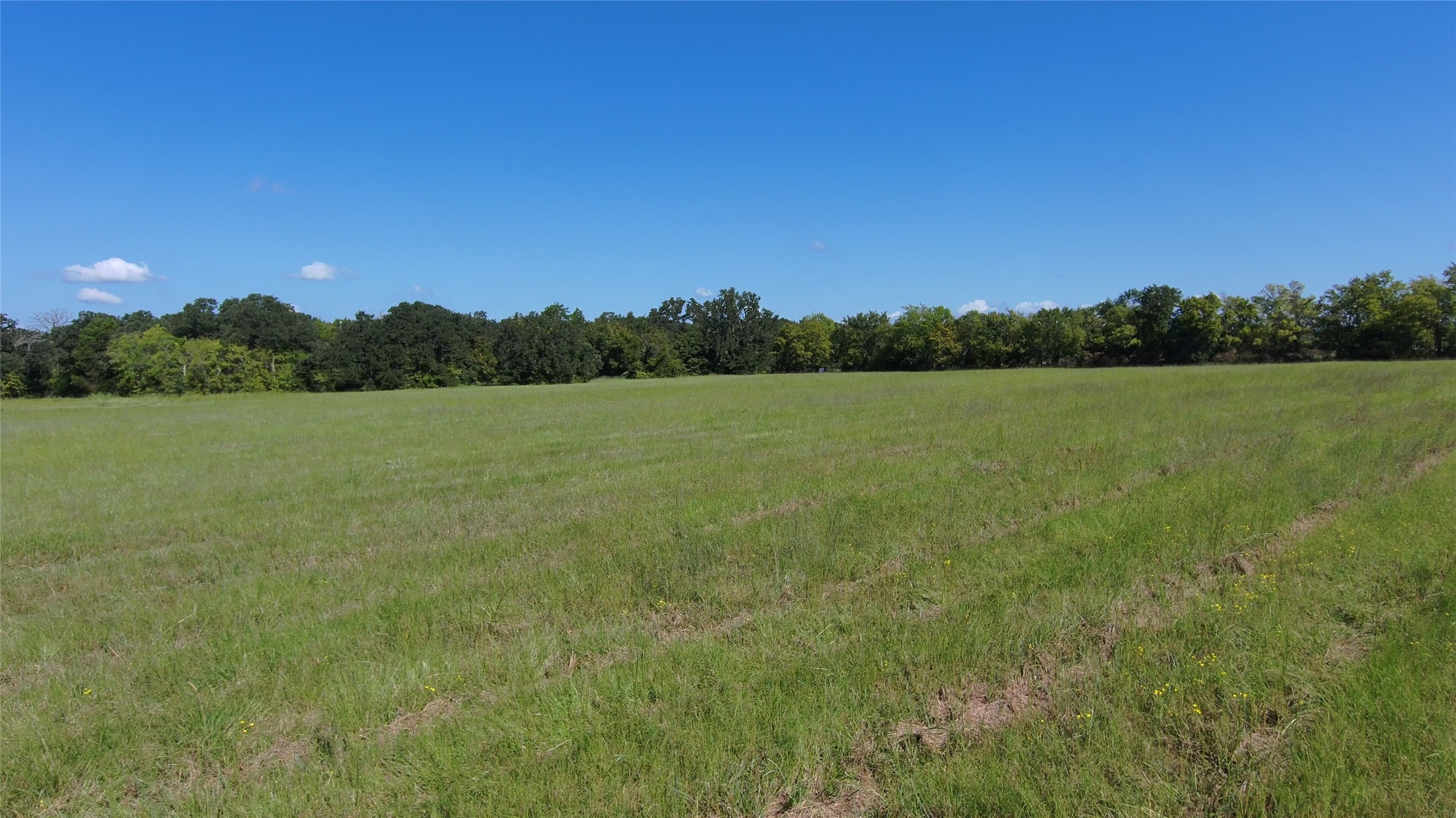 Tbd Vz County Road 2102 Canton TX 75103