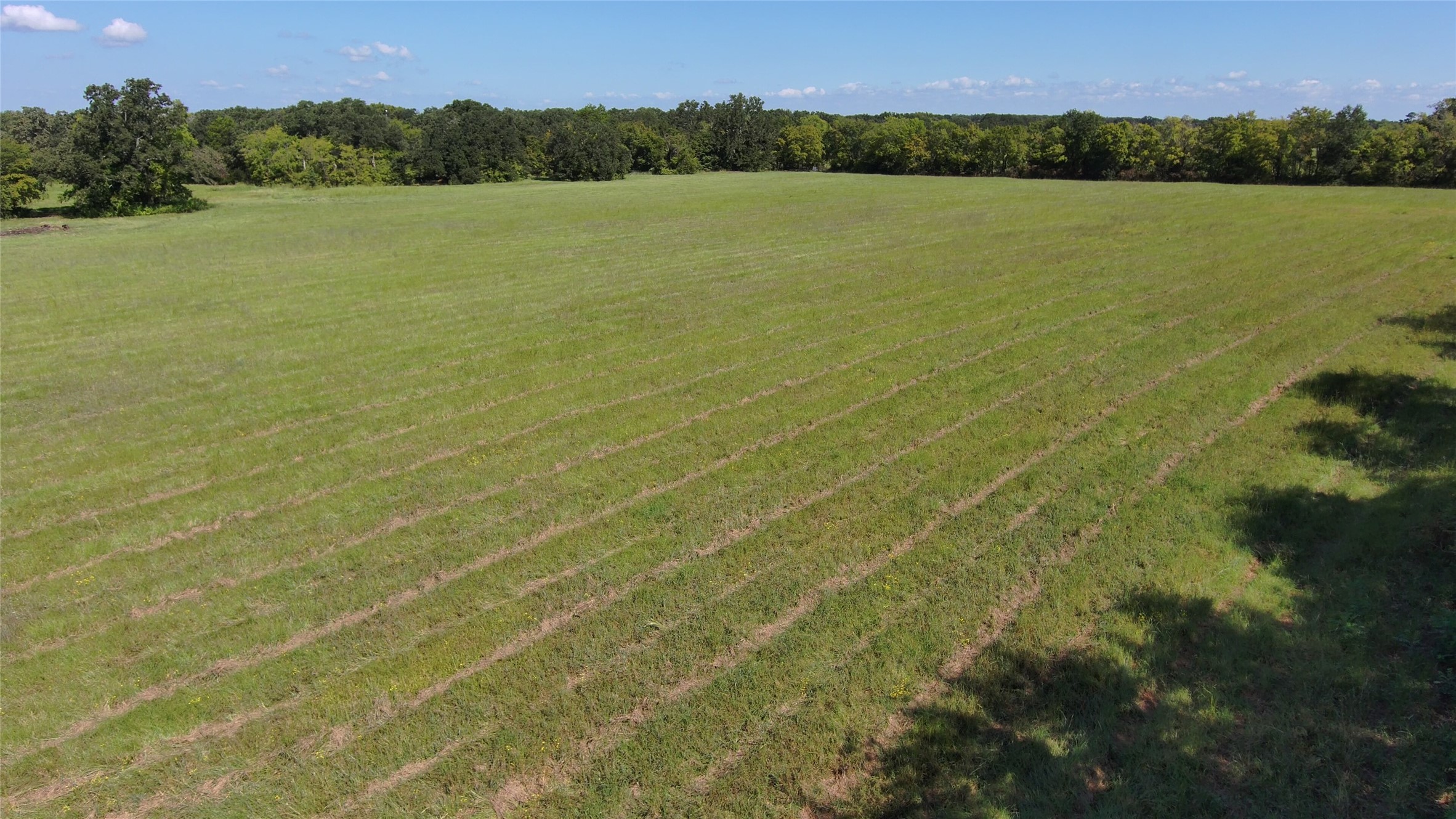 Tbd Vz County Road 2102 Canton TX 75103