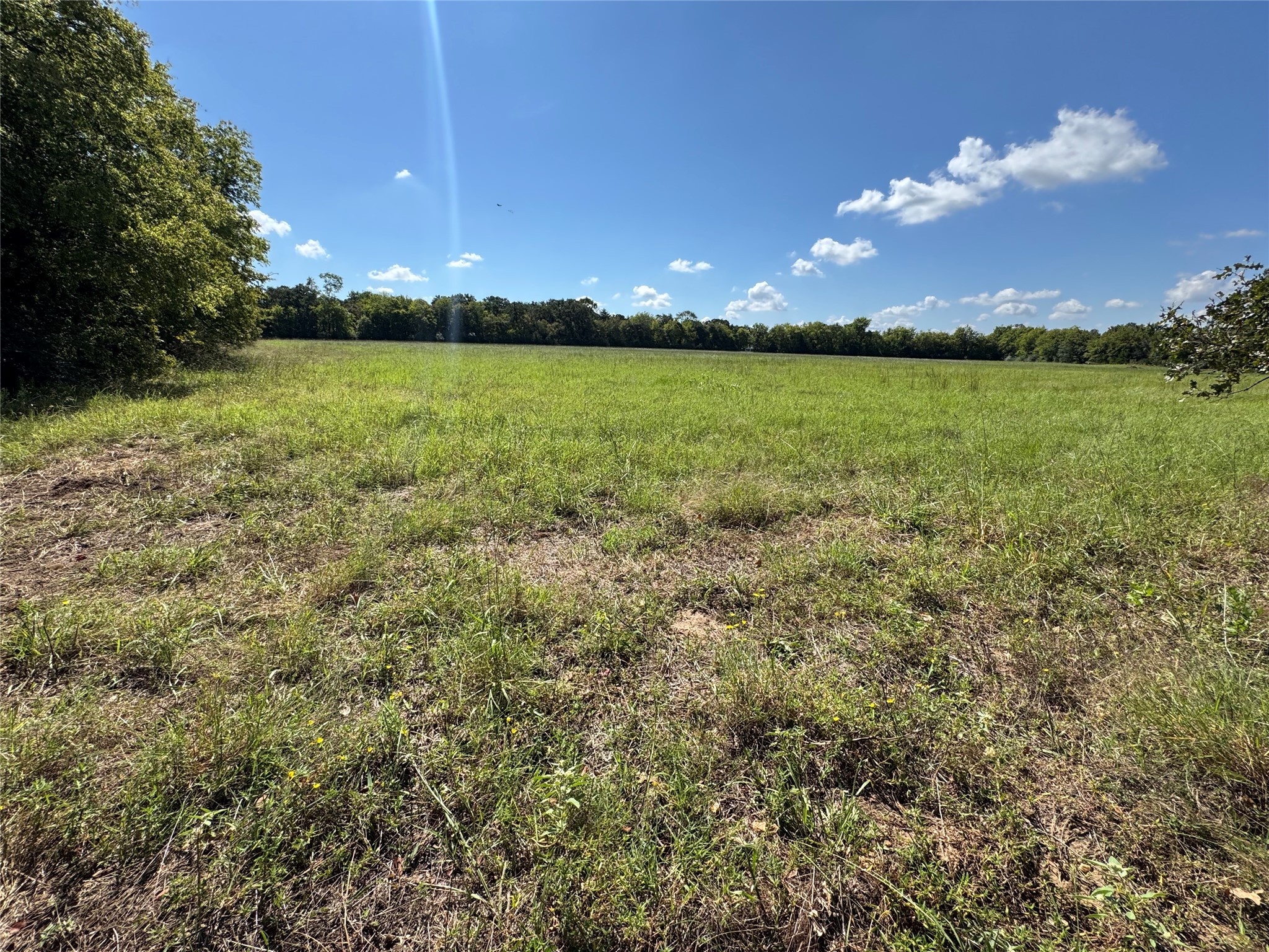 Tbd Vz County Road 2102 Canton TX 75103