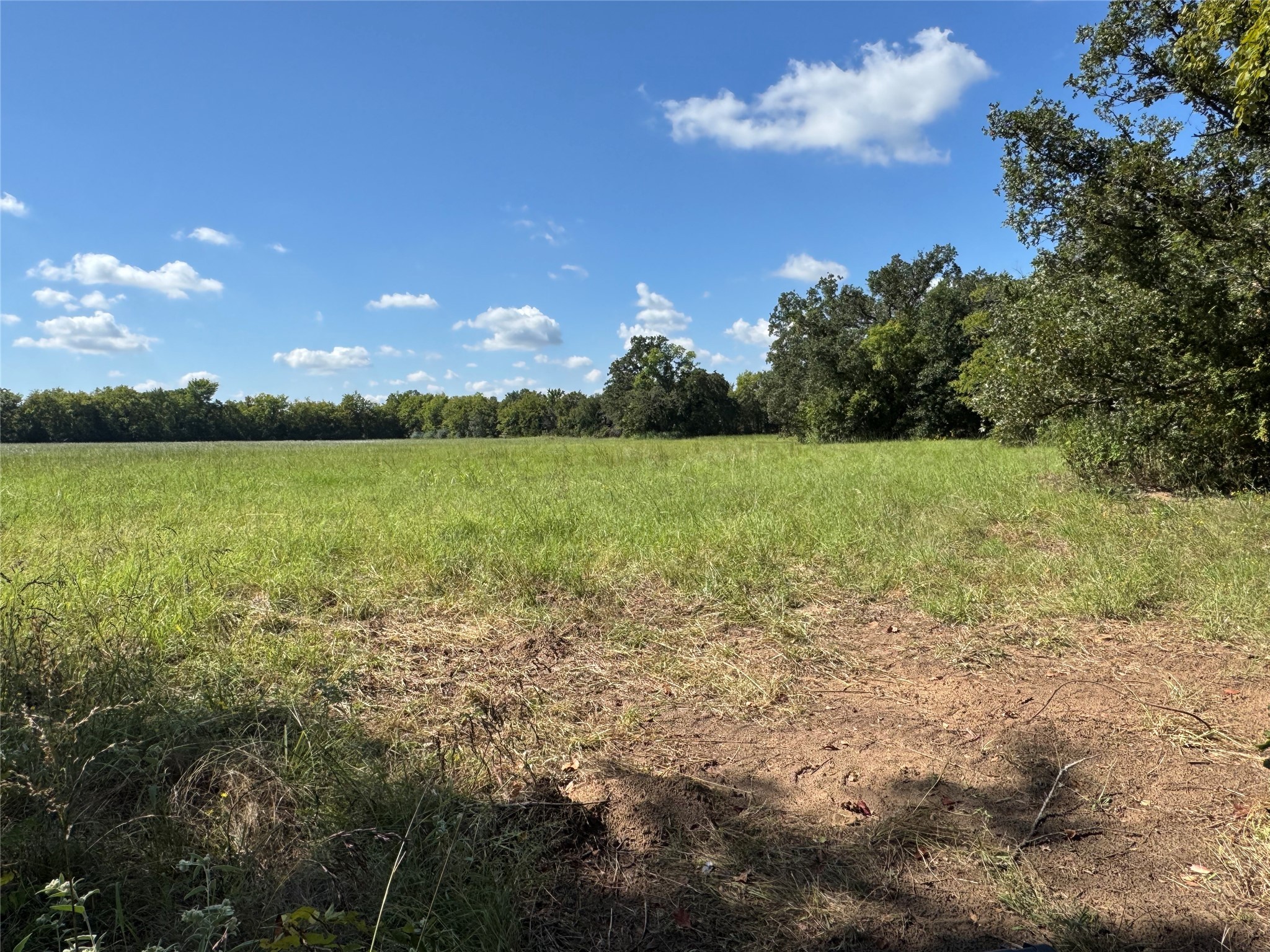 Tbd Vz County Road 2102 Canton TX 75103