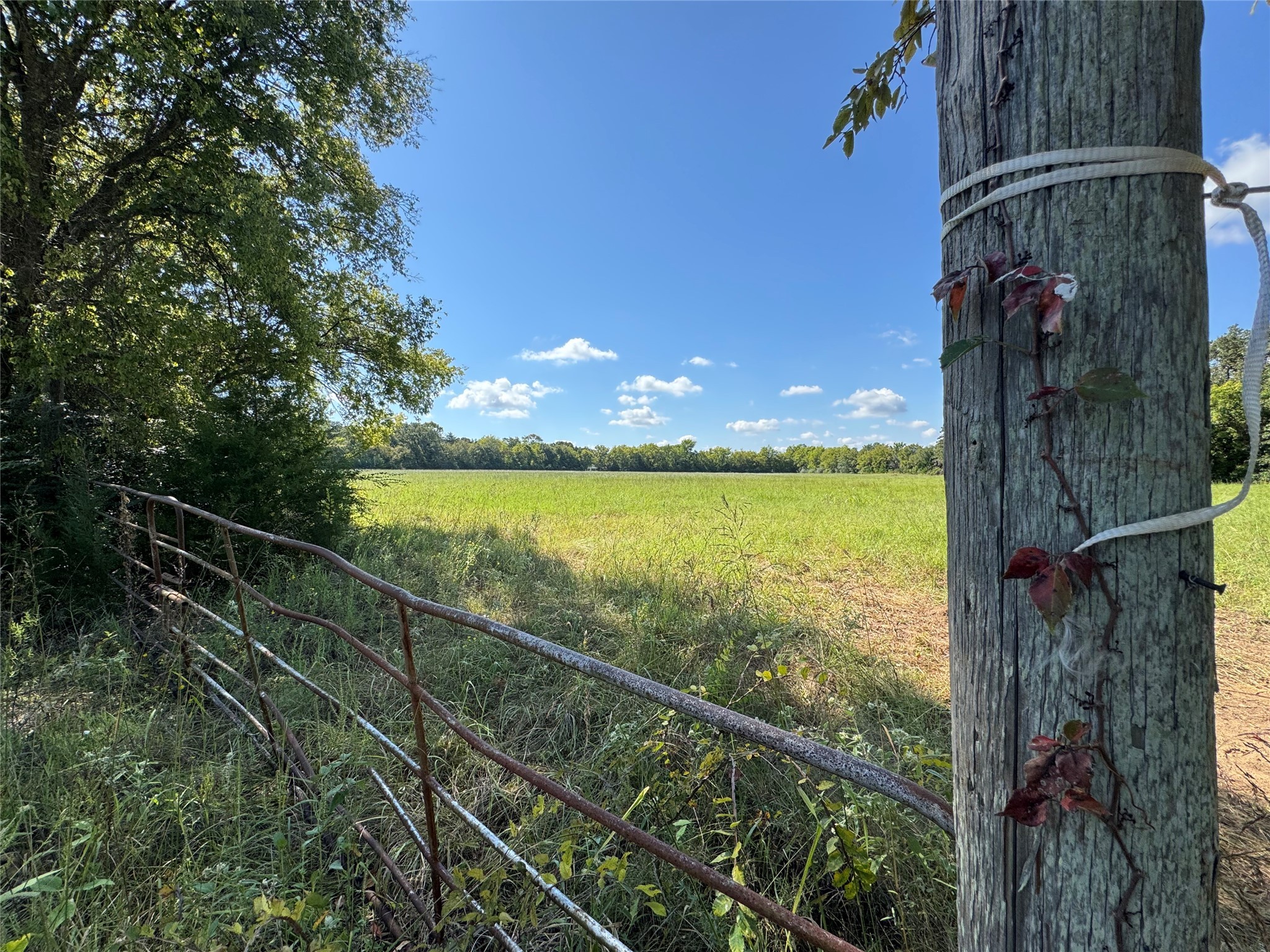 Tbd Vz County Road 2102 Canton TX 75103