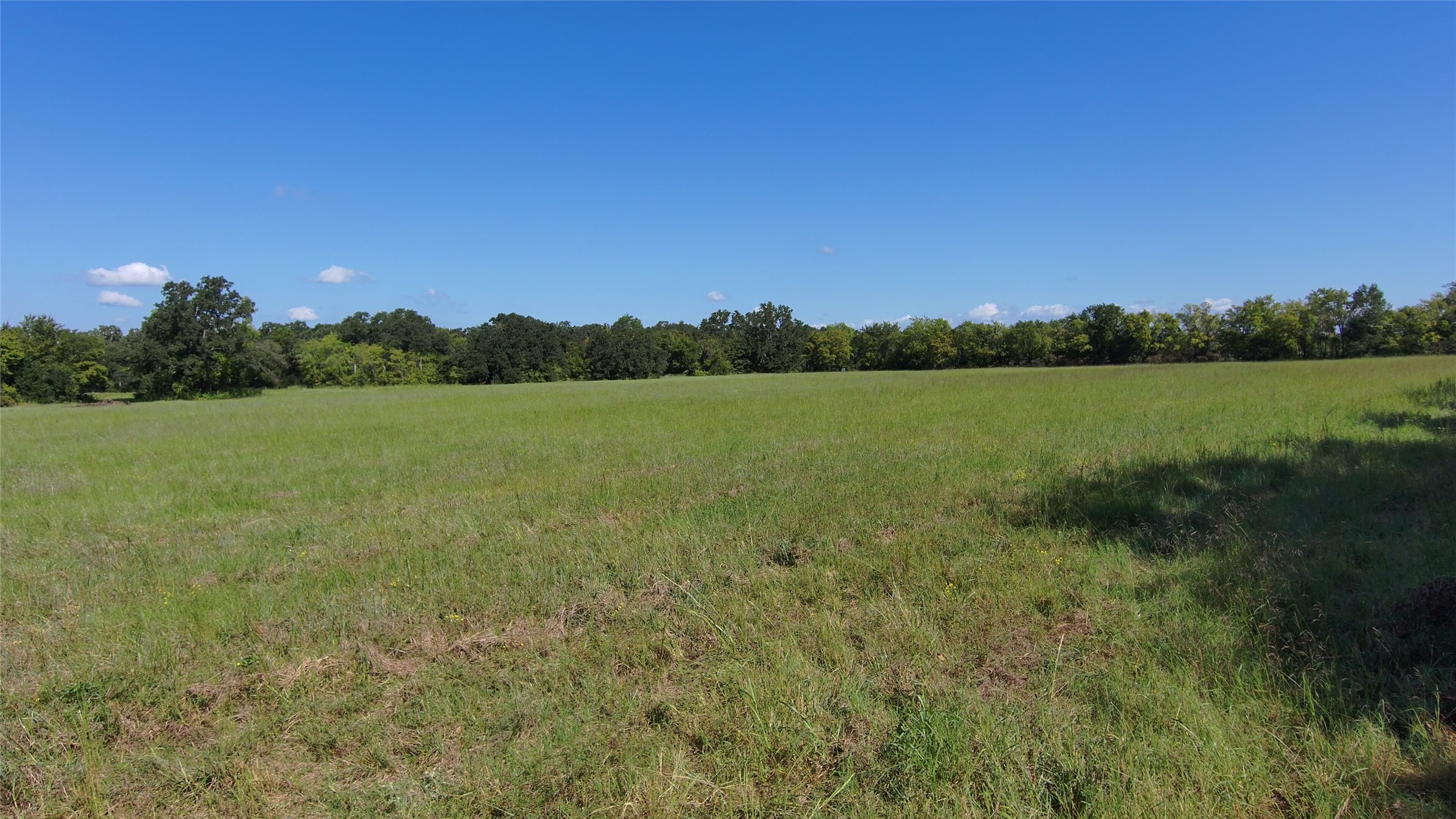 Tbd Vz County Road 2102 Canton TX 75103