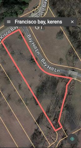 Lot 9 Francisco Bay Kerens TX 75144