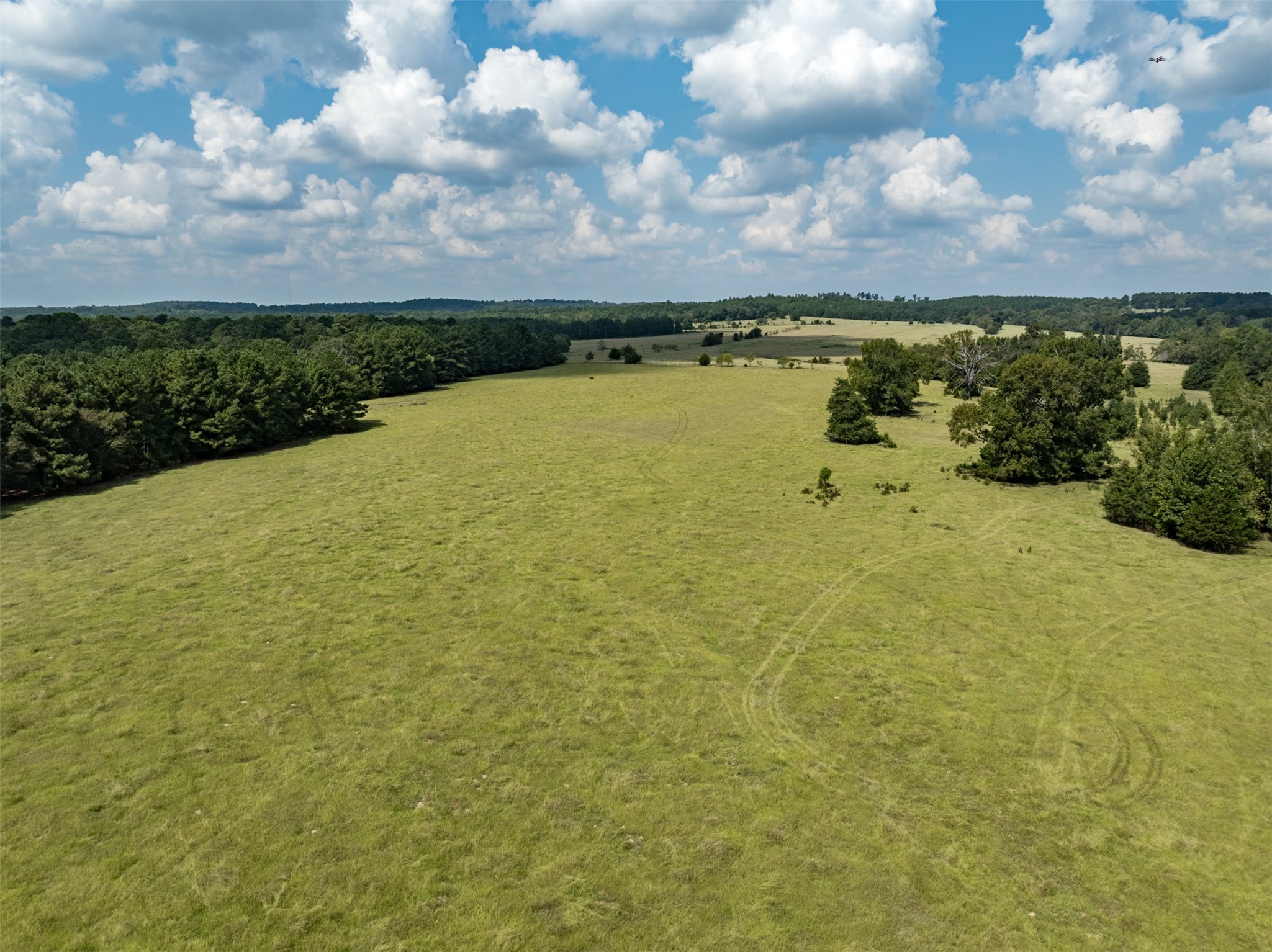 Tract 2 An County Road 153 Palestine TX 75801