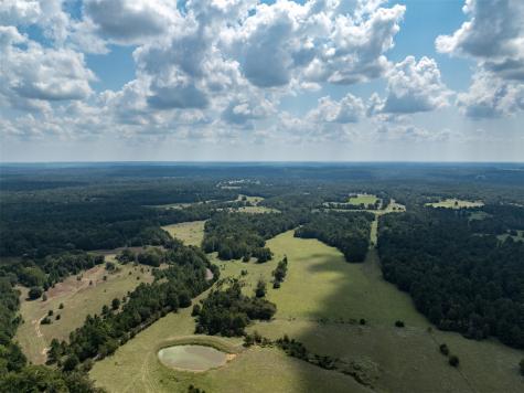 Tract 2 An County Road 153 Palestine TX 75801