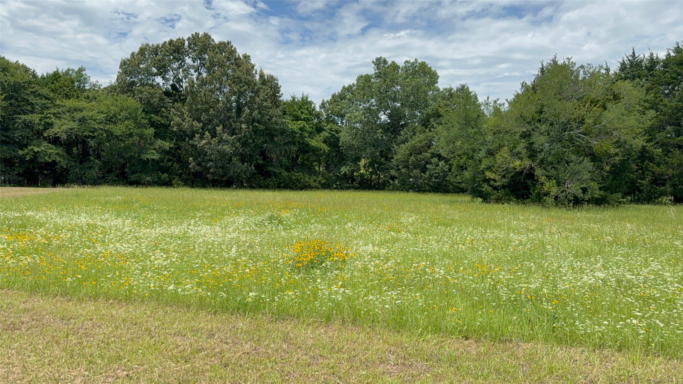 3063 Vz County Road 3810 Wills Point TX 75169