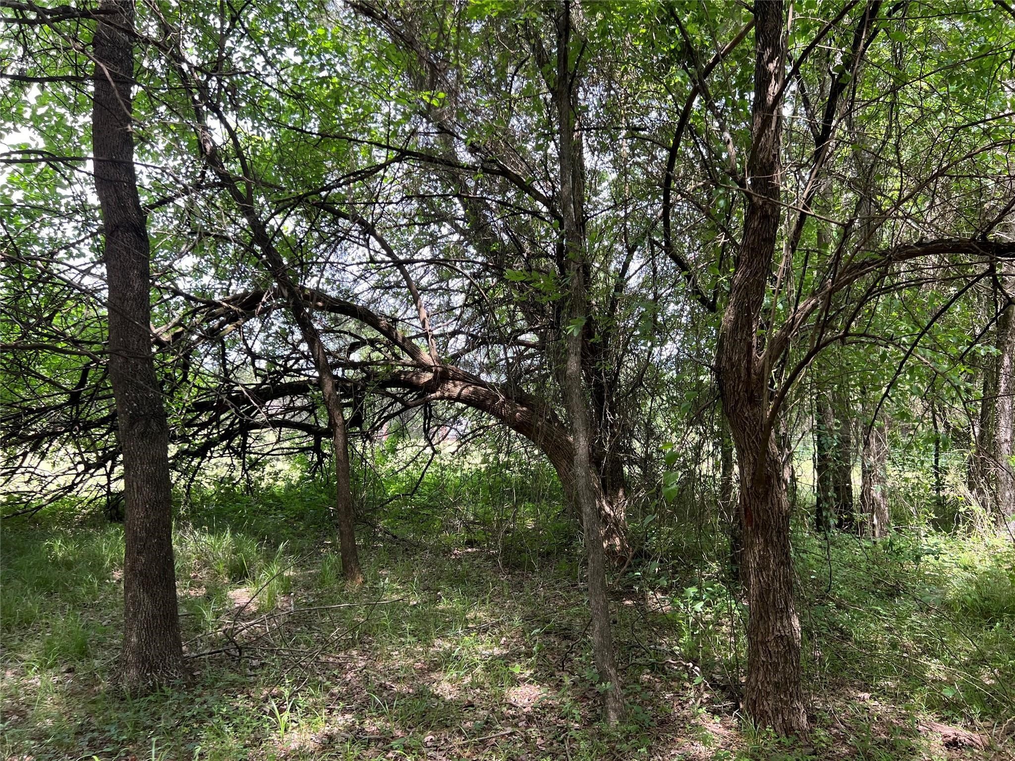 3063 Vz County Road 3810 Wills Point TX 75169
