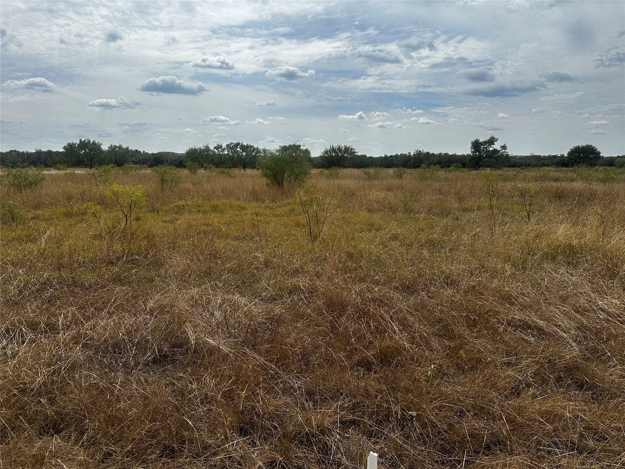 1353 County Road 318 Abilene TX 79606