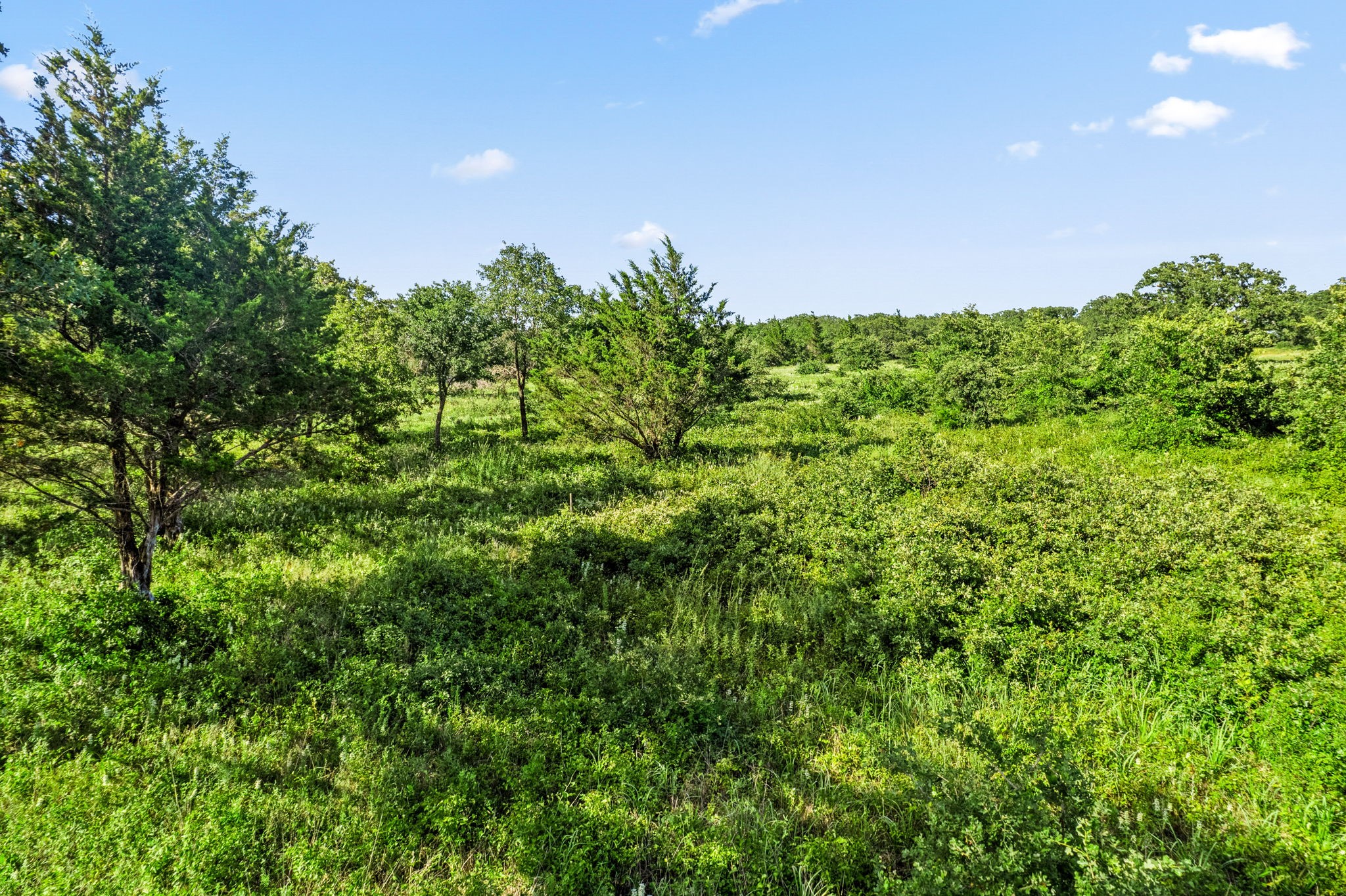 354 Trailride Lane Nocona TX 76255