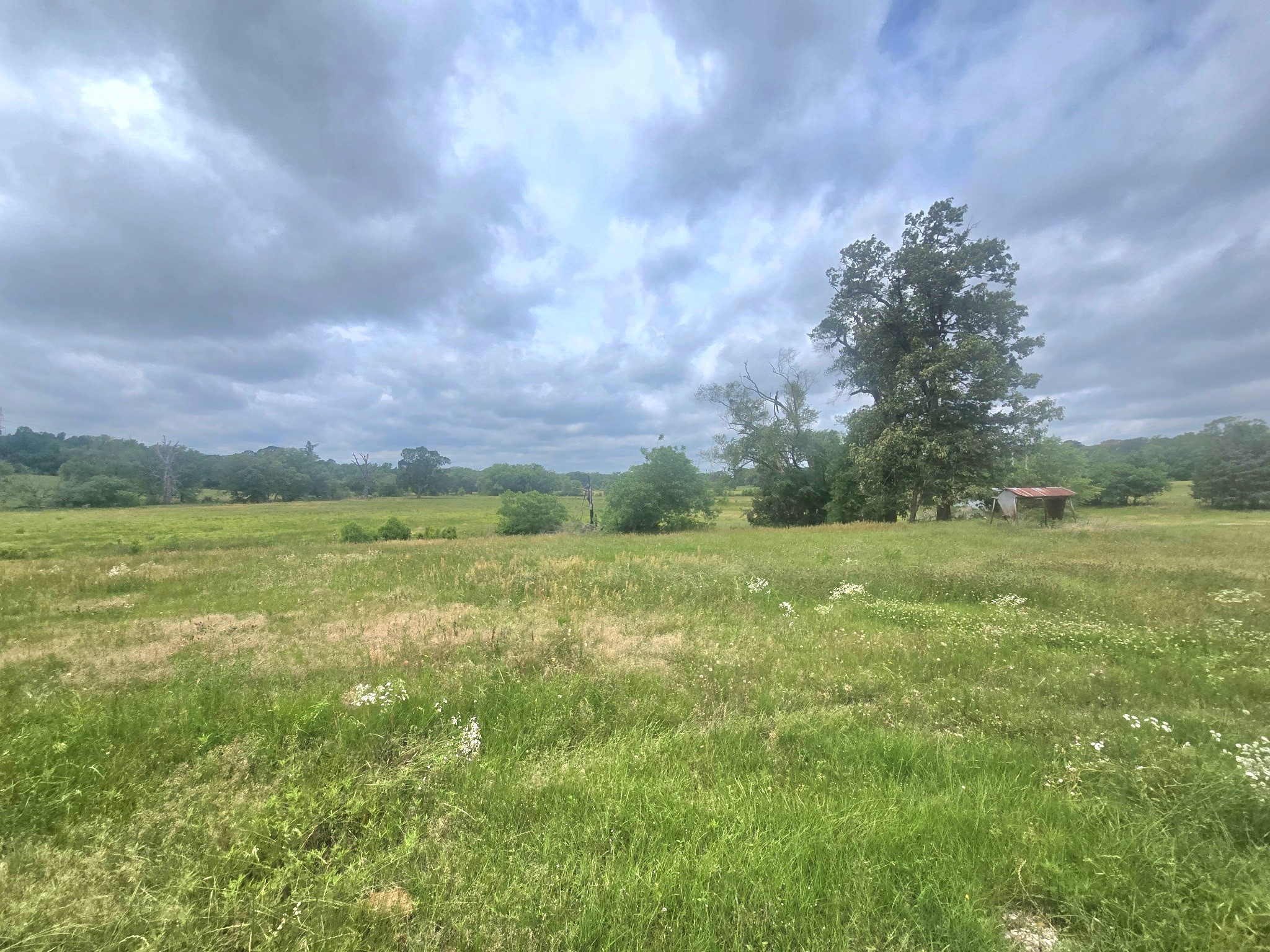 Tbd County Road 246 Arp TX 75750