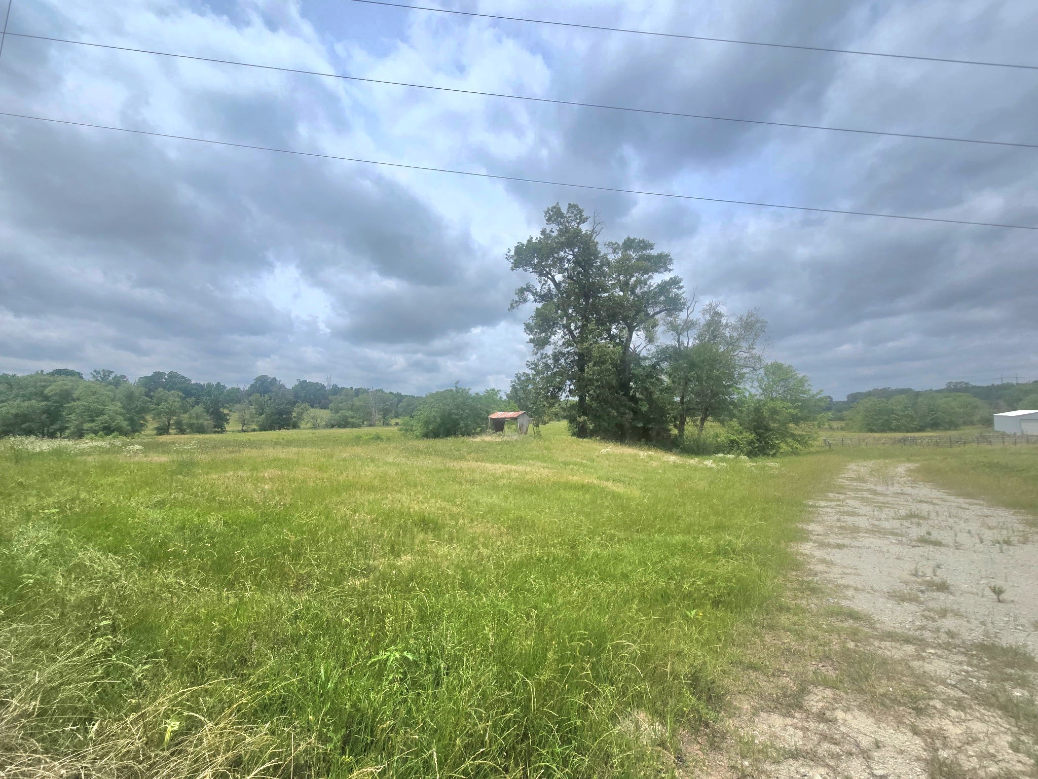 Tbd County Road 246 Arp TX 75750