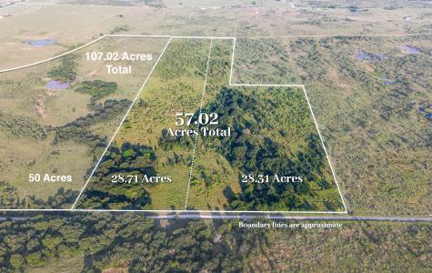 TBD Tract 6 50 Acres Boren Road Ringgold TX 76261