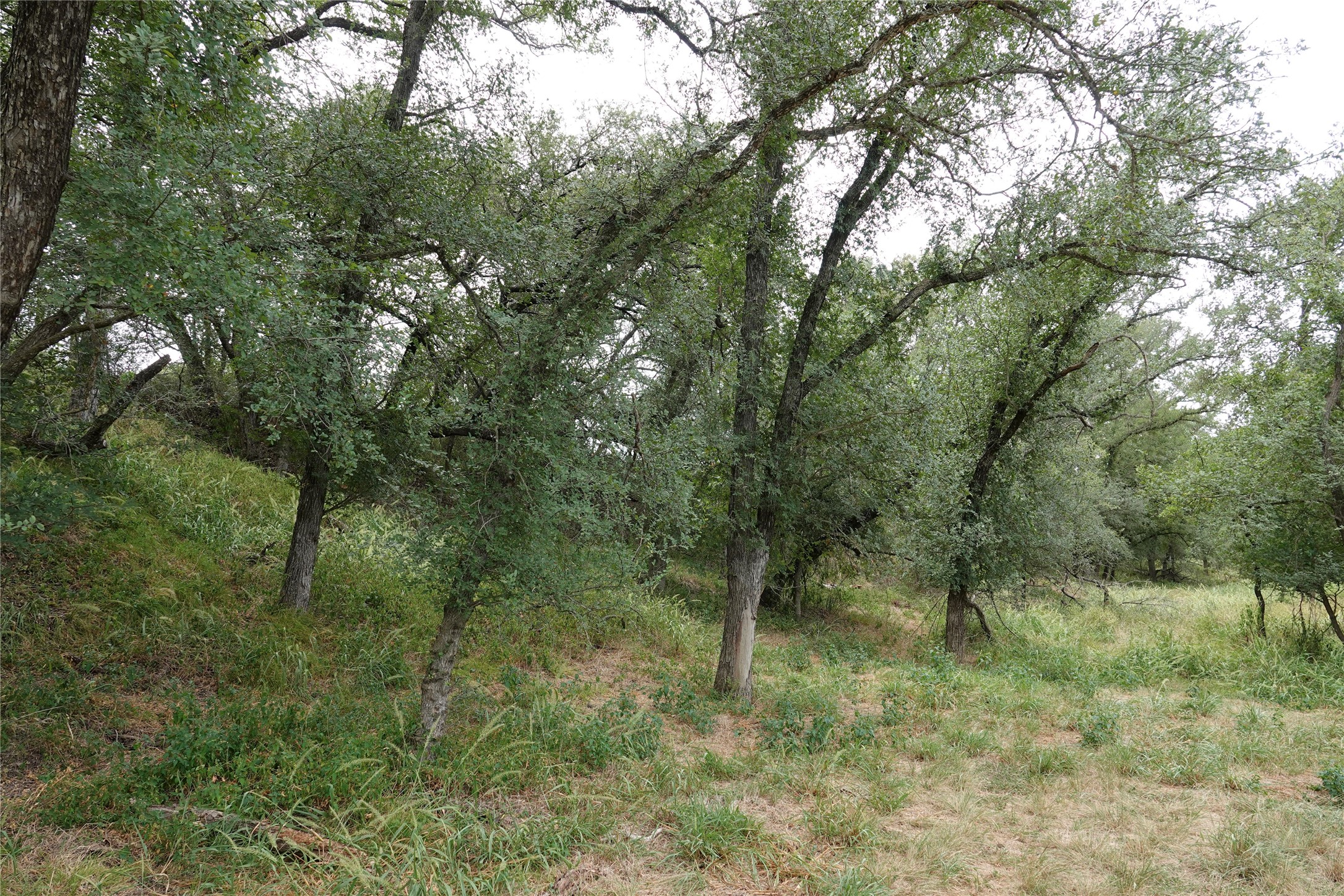 392 S Cr 433 Mullin TX 76864