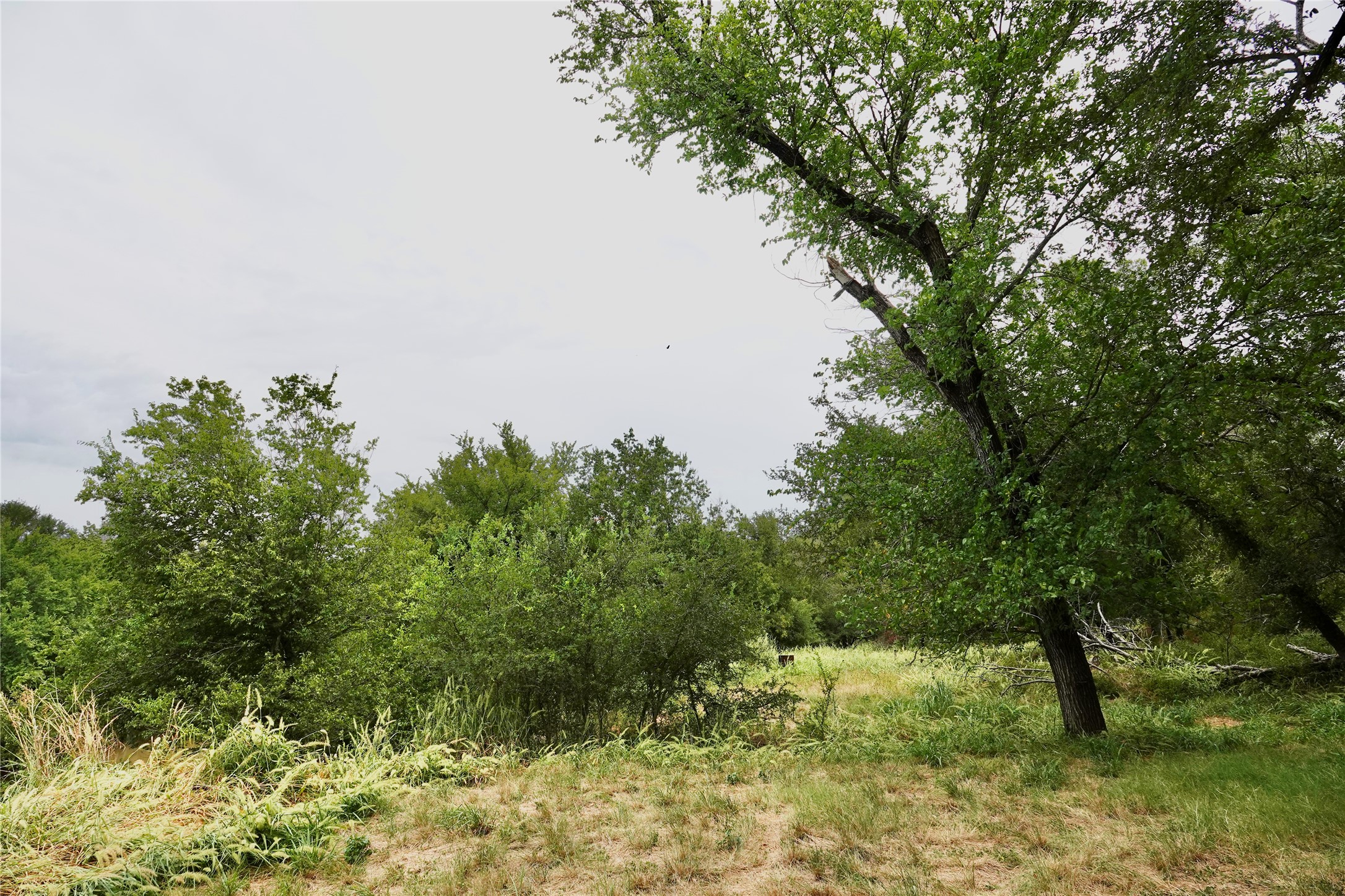 392 S Cr 433 Mullin TX 76864