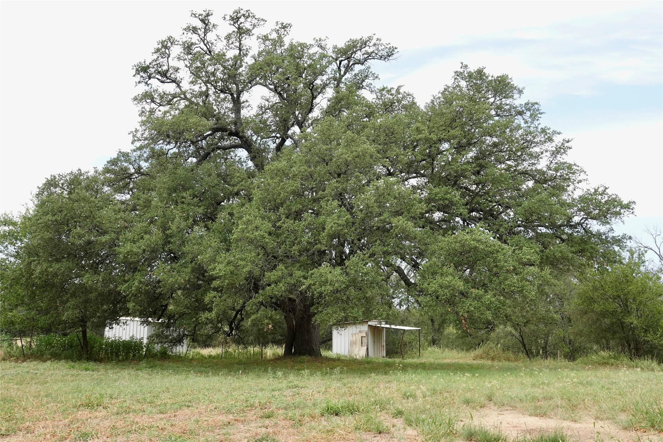 392 S Cr 433 Mullin TX 76864