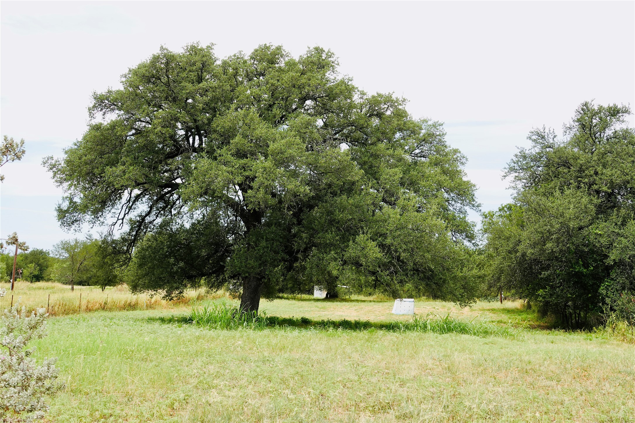 392 S Cr 433 Mullin TX 76864