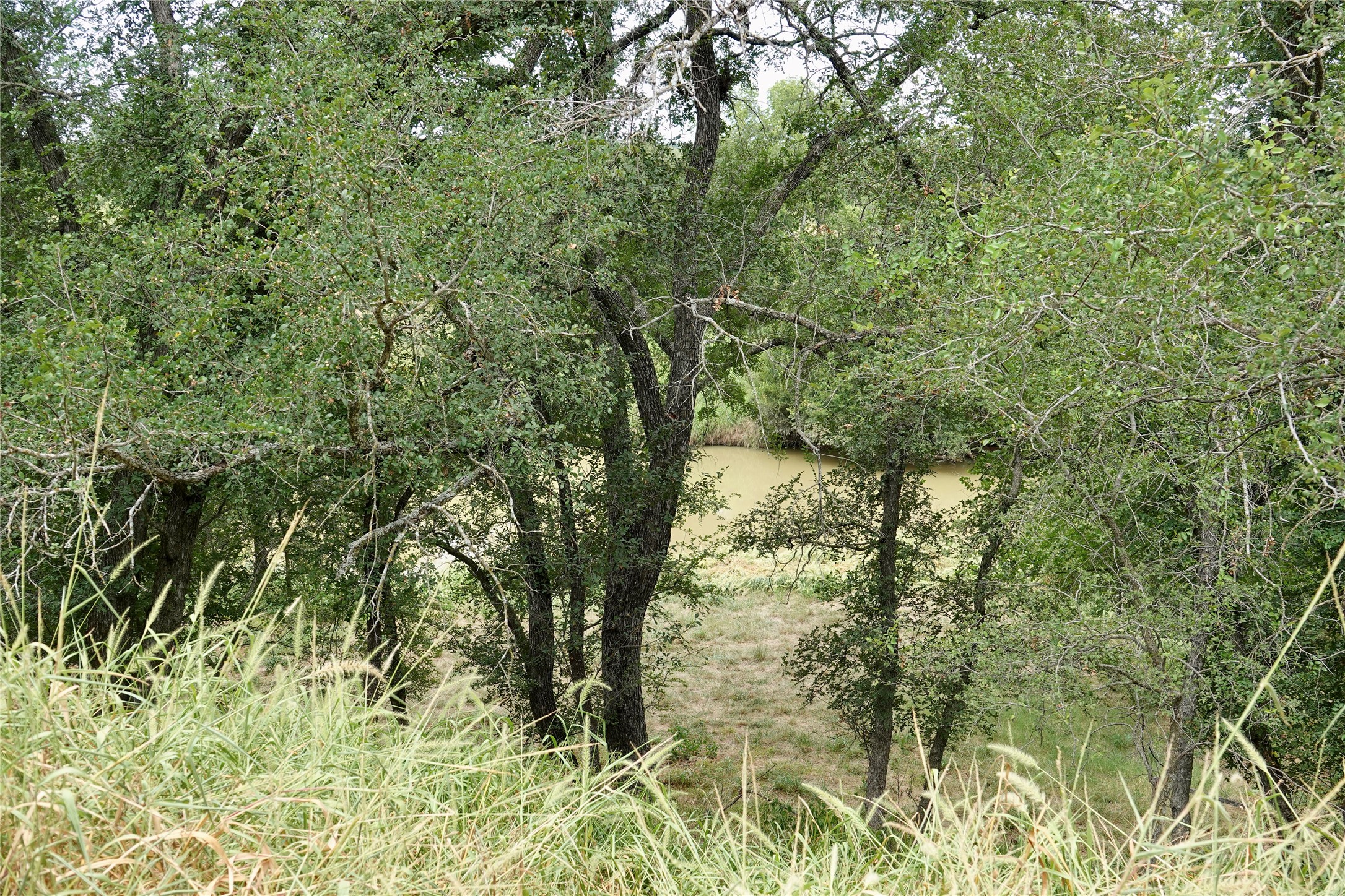 392 S Cr 433 Mullin TX 76864