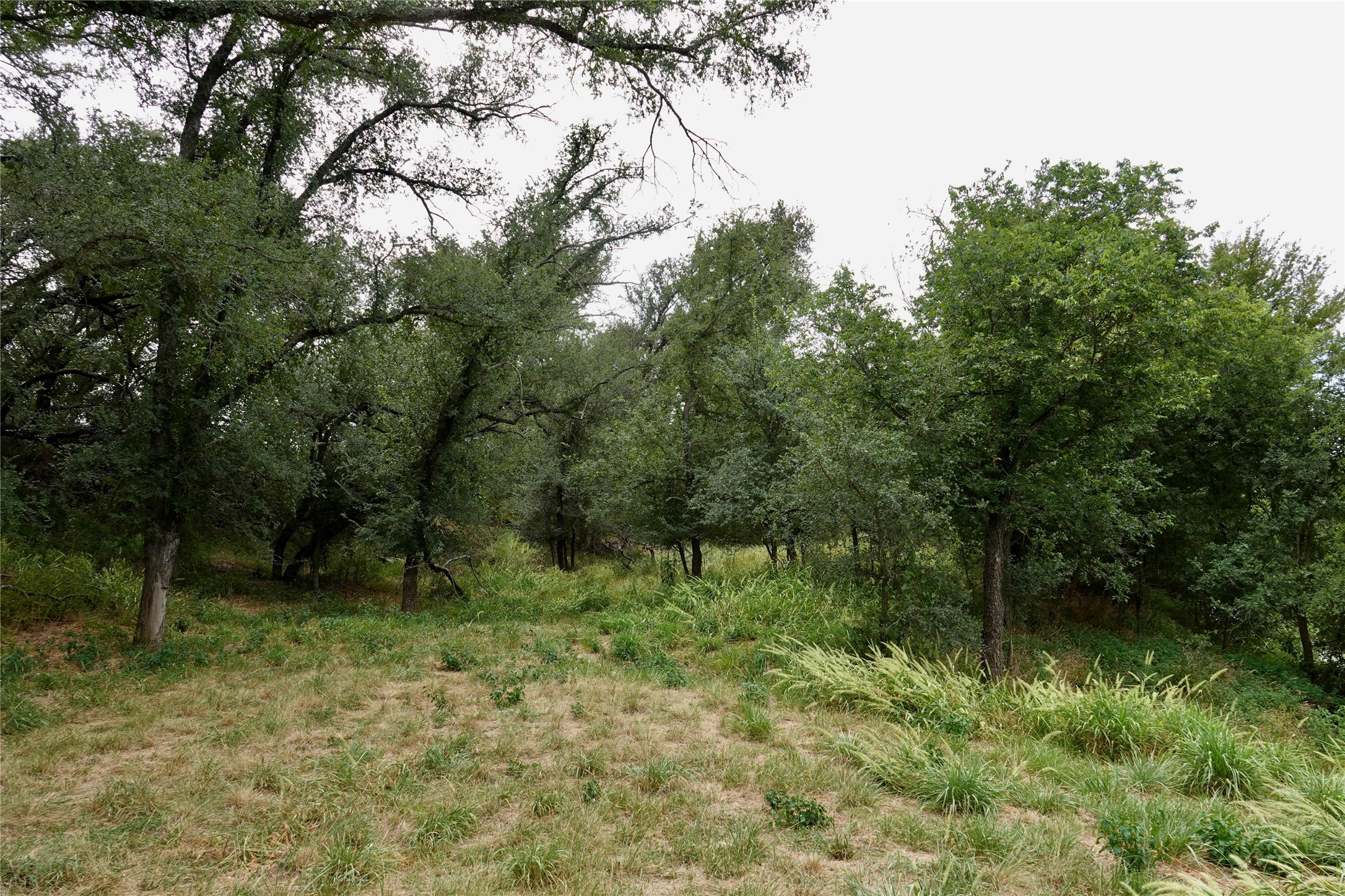 392 S Cr 433 Mullin TX 76864
