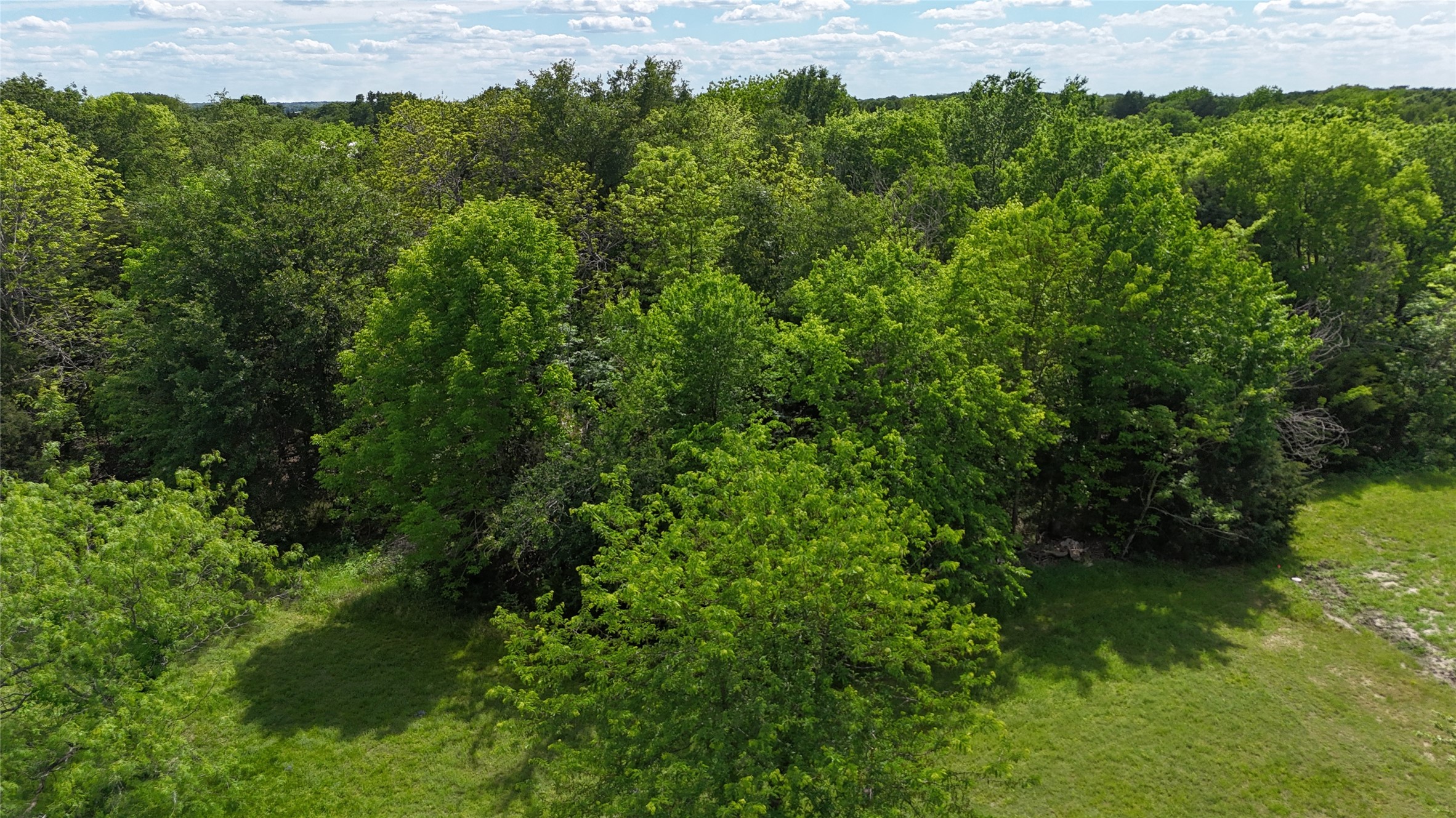 Lot 194 Cobalt Cove Corsicana TX 75109
