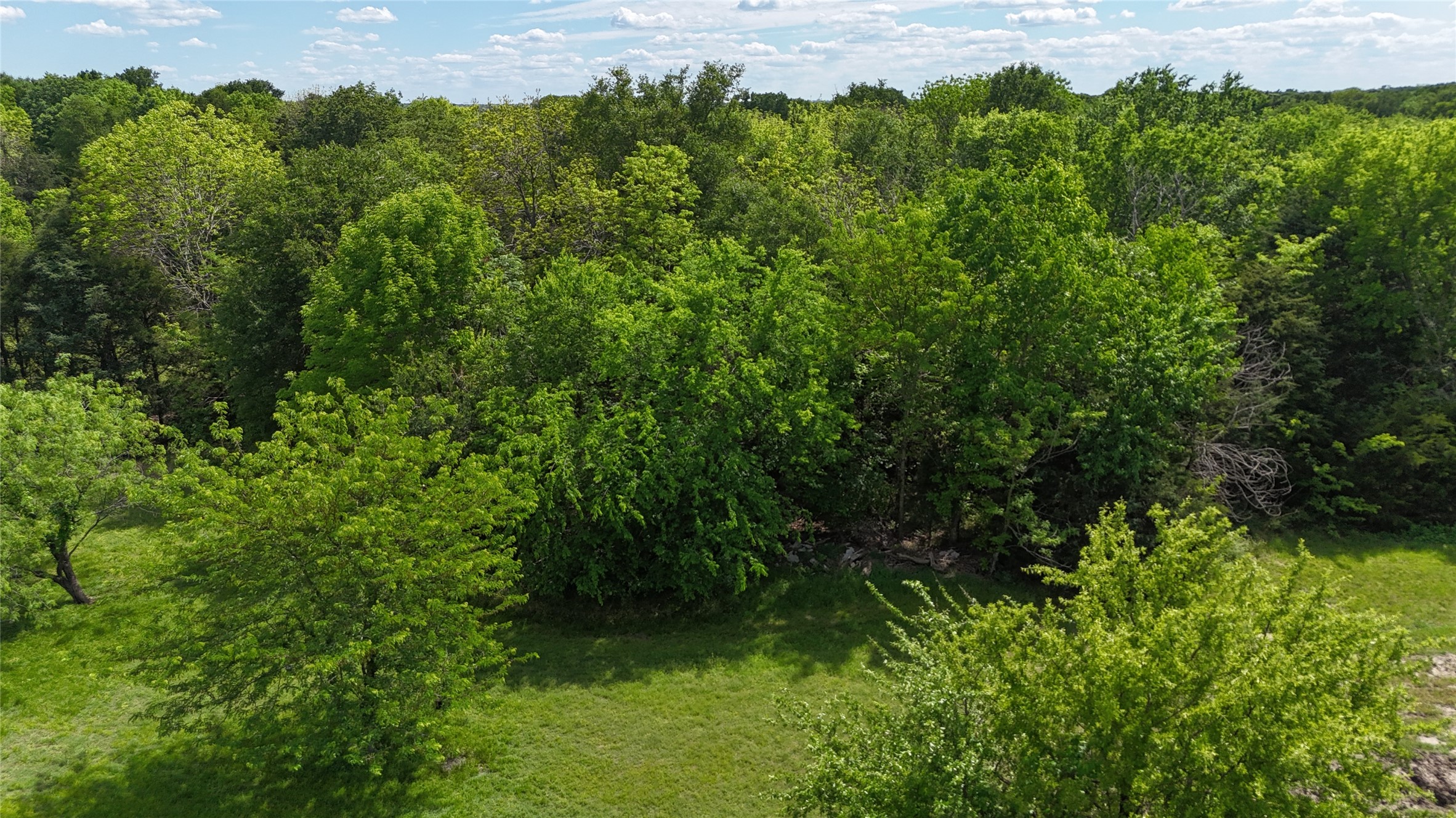 Lot 194 Cobalt Cove Corsicana TX 75109