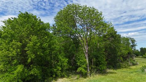 Lot 194 Cobalt Cove Corsicana TX 75109