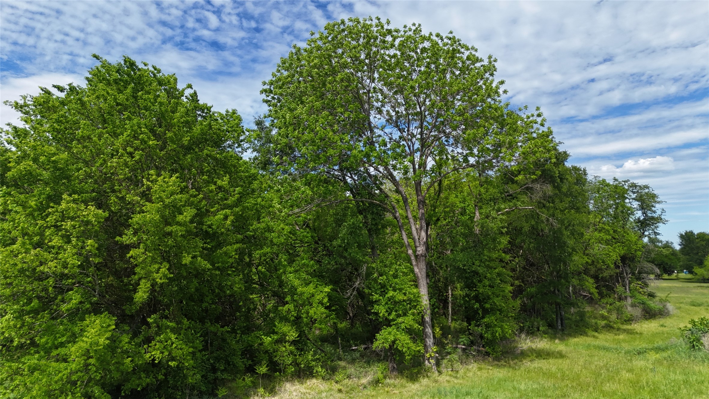Lot 194 Cobalt Cove Corsicana TX 75109
