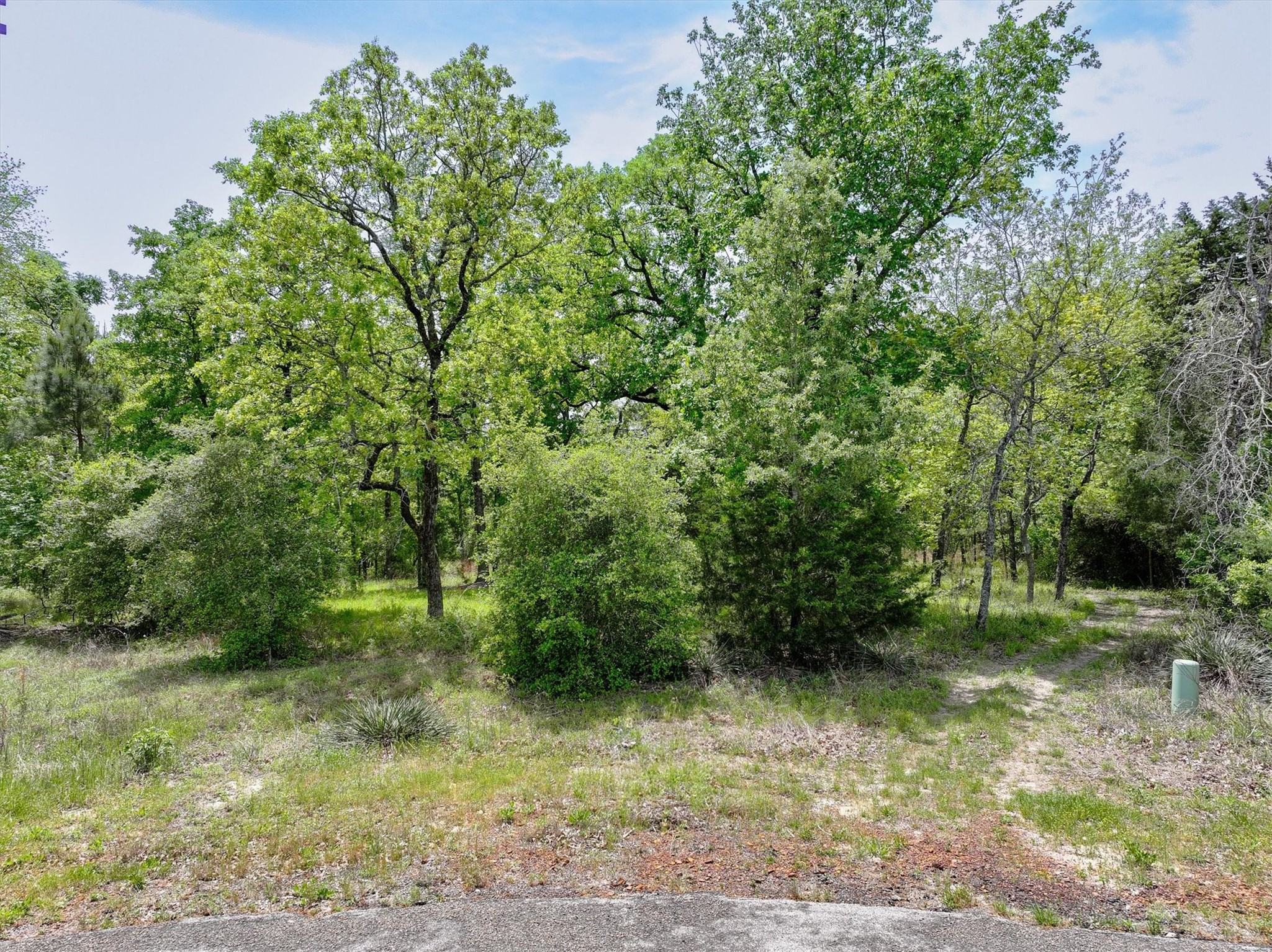 8950 Timber Ridge Larue TX 75770