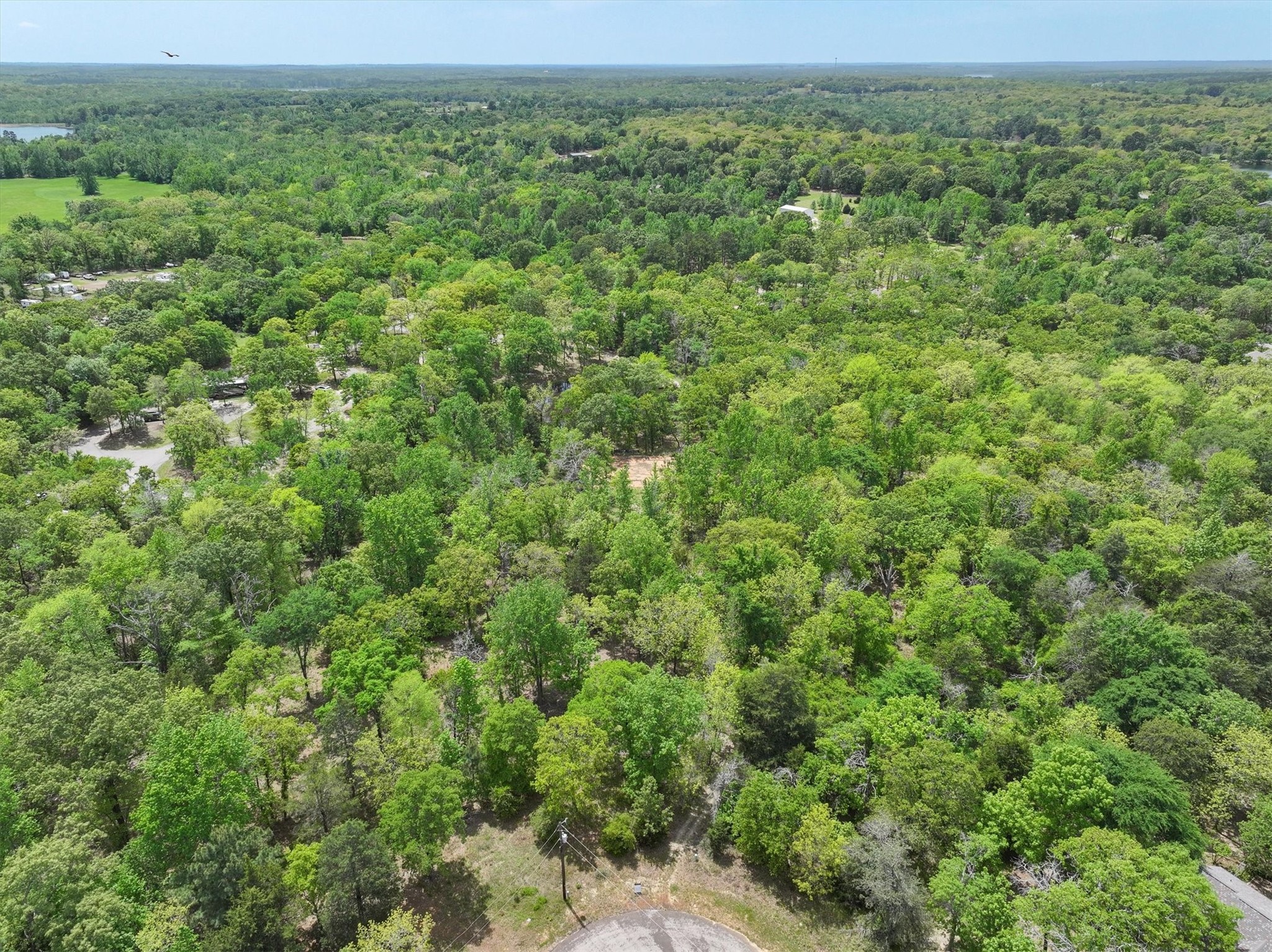 8950 Timber Ridge Larue TX 75770