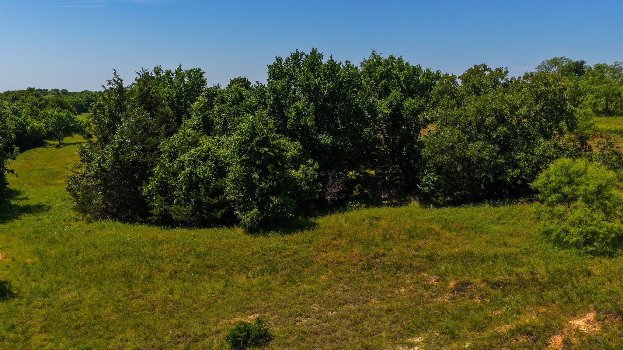 Tbd County Road 4360 Decatur TX 76234