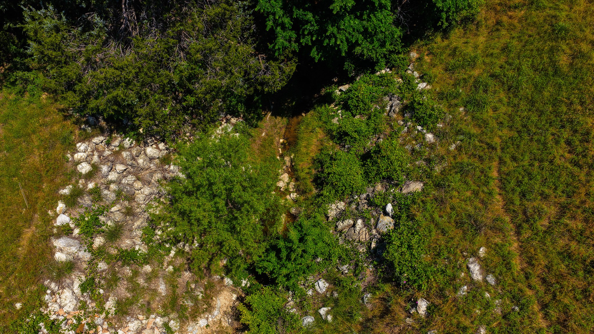 Tbd County Road 4360 Decatur TX 76234