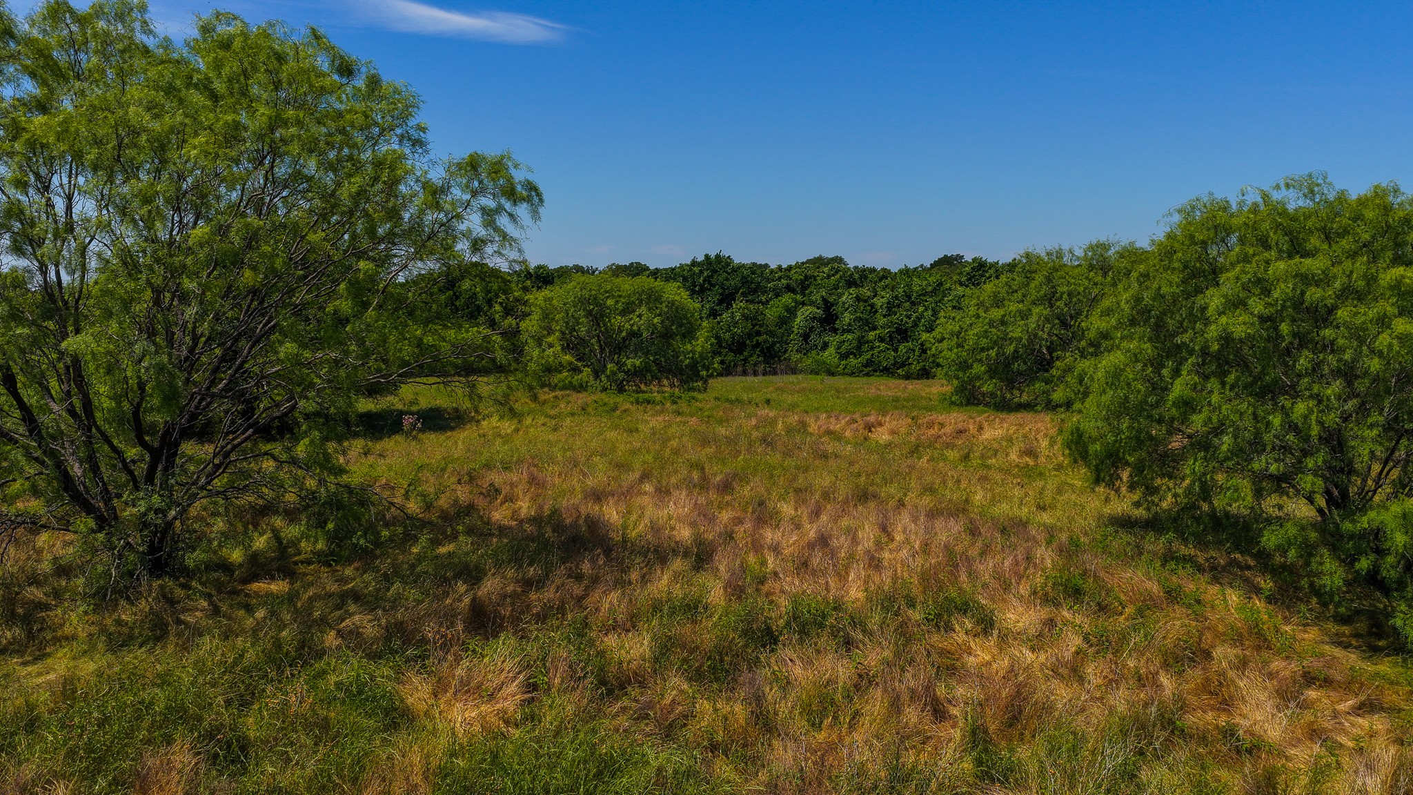 Tbd County Road 4360 Decatur TX 76234