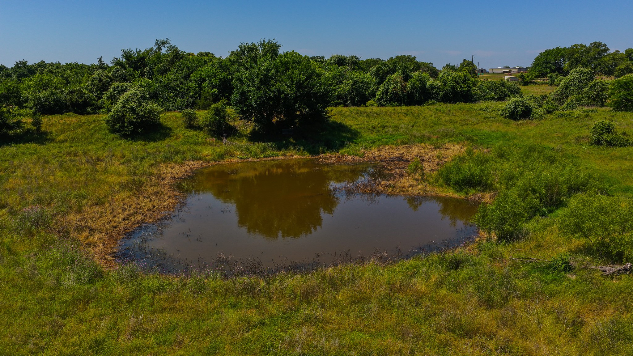 Tbd County Road 4360 Decatur TX 76234