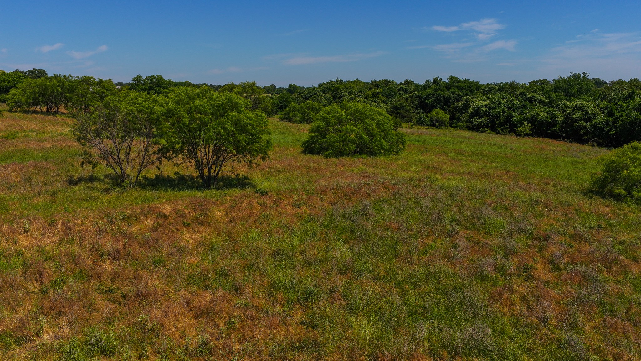 Tbd County Road 4360 Decatur TX 76234