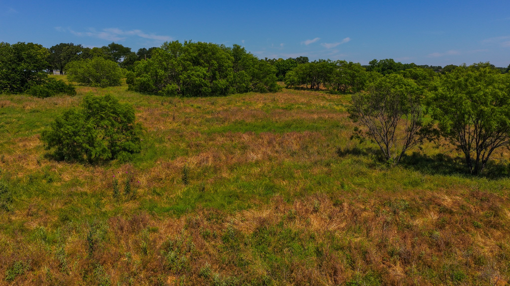 Tbd County Road 4360 Decatur TX 76234