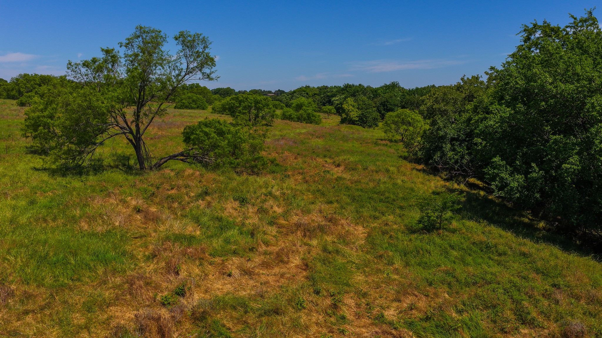Tbd County Road 4360 Decatur TX 76234
